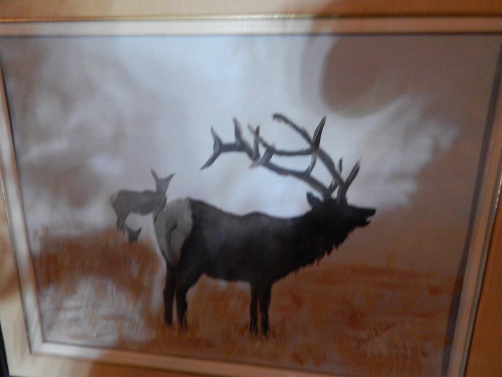 Idle Spurs Log Cabin Bed & Breakfast Black Diamond Kültér fotó